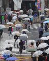 14 million people on a rainy day means plenty of umbrellas.