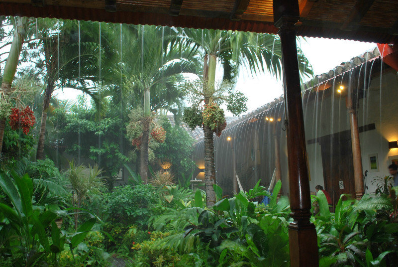 Tropical rain at Garden Cafe