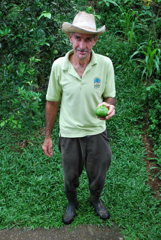 José tuinman - gardener
