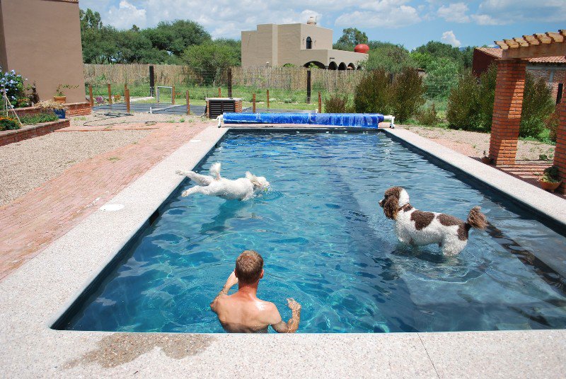 Zwembad-Pool San Miguel housesit