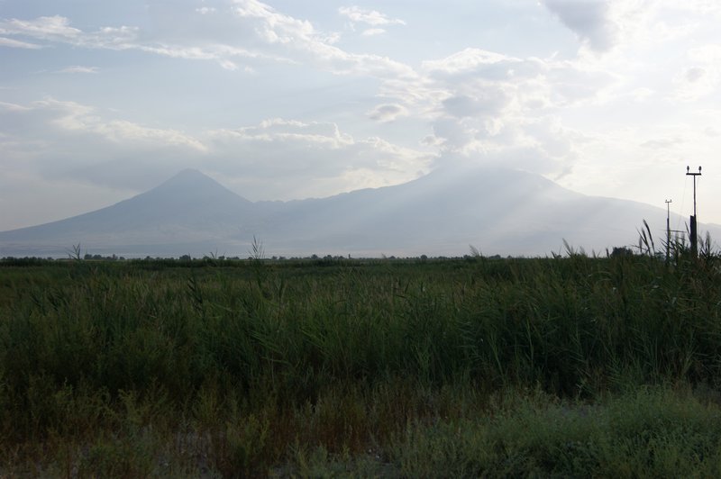 129 Ararat