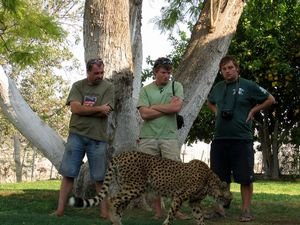 Cheetah Park