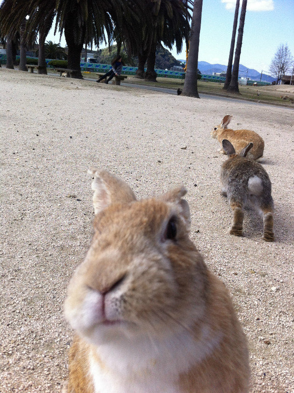 Bunny Selfie?