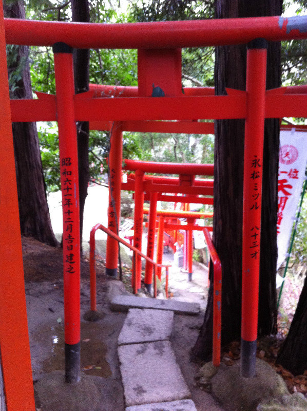 Tori Path to Fox Shrine
