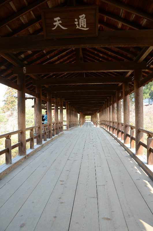Tofuku-ji Bridge