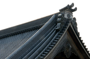 Roof Architecture