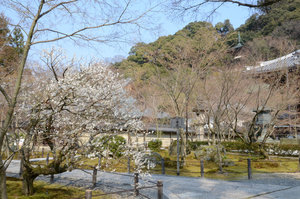 Outer Grounds of Eikando-ji