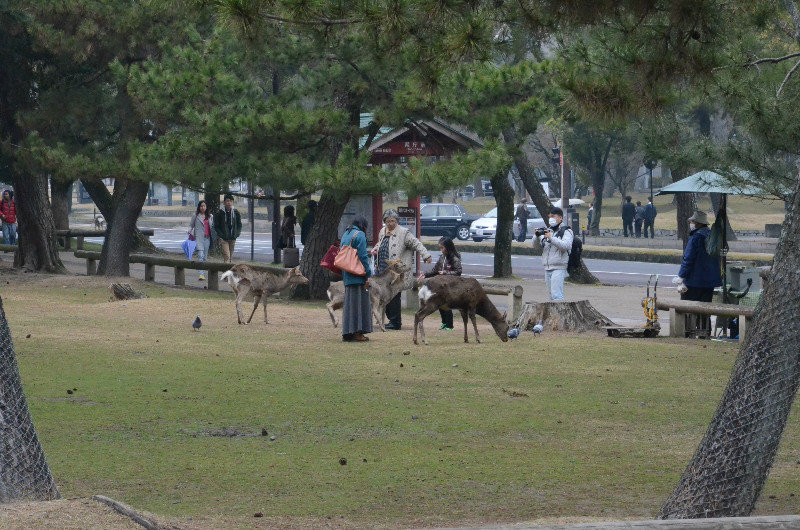 Feeding at the Park