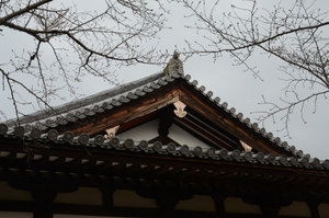 Roof Architecture at Shin-Yakushi-ji