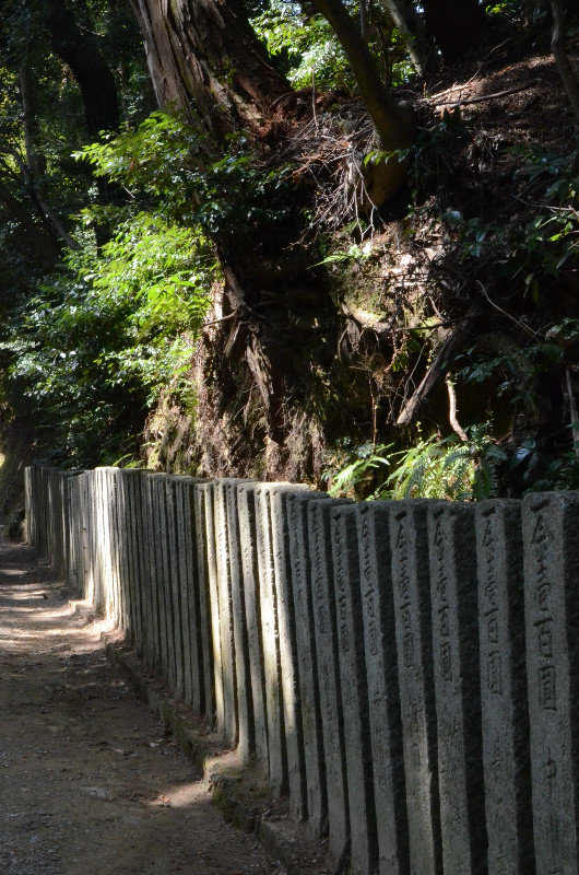 A Road in Engyo-ji