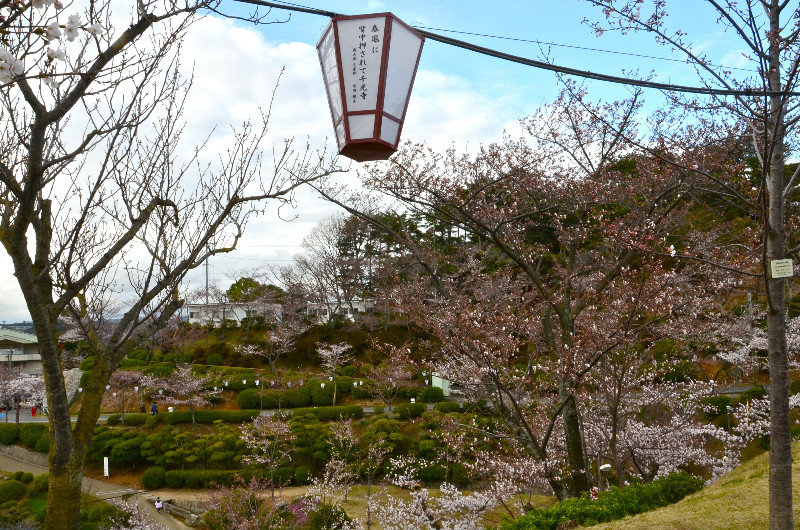 Hanami Garden