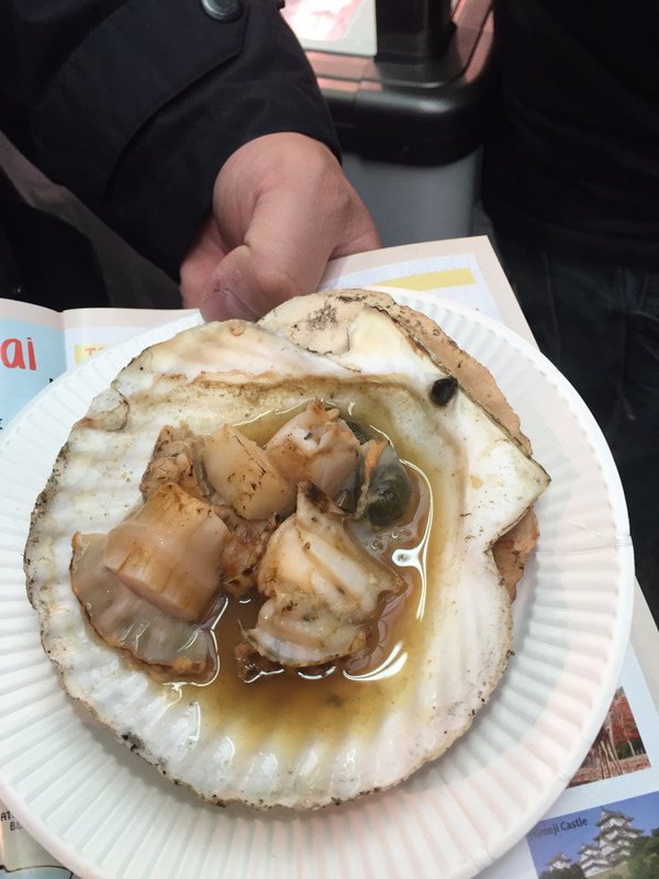 Giant Scallop