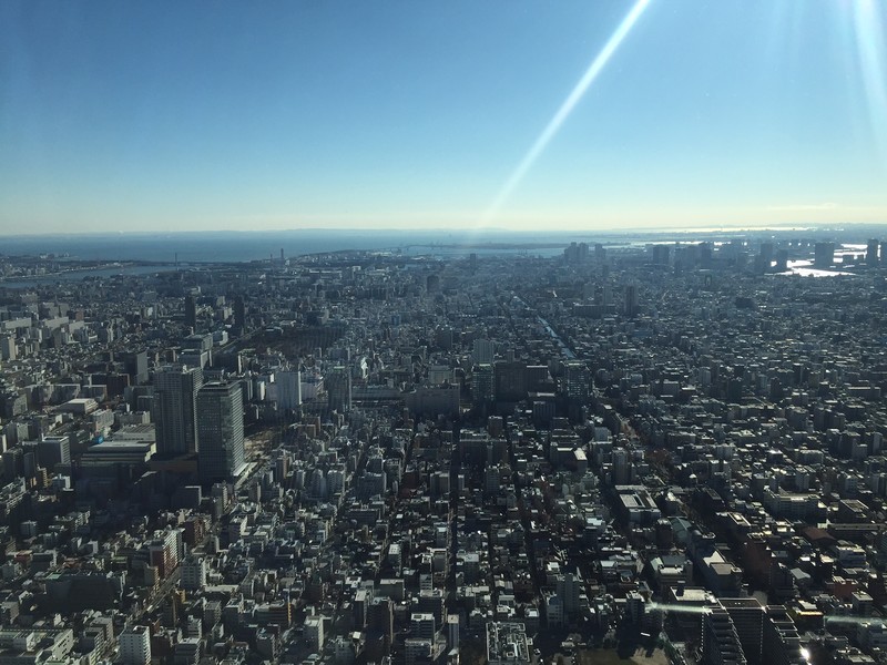 Tokyo SkyTree View