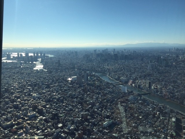 Tokyo SkyTree View