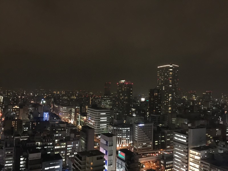 Osaka View 2 