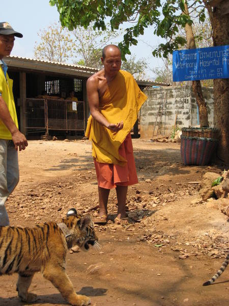 kitty and a monk