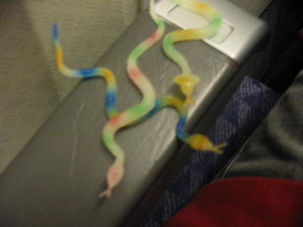 SNAKES ON MY PLANE!