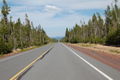 Road from Crater Lake