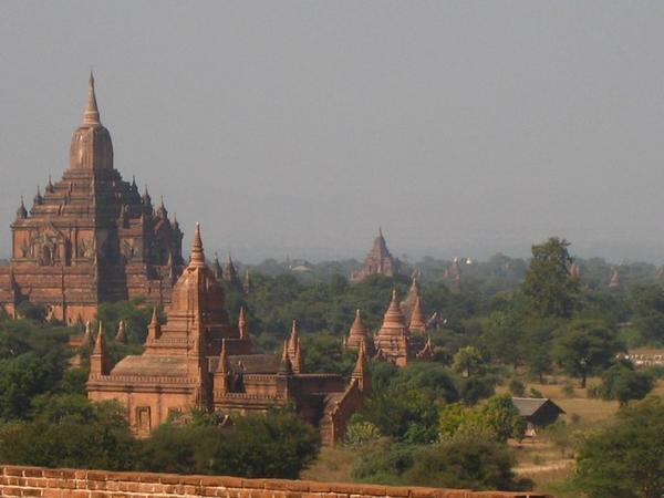 One of a thousand good temple-top views of Bagan
