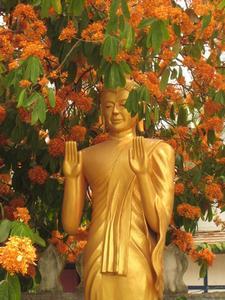 Golden Flower Buddha
