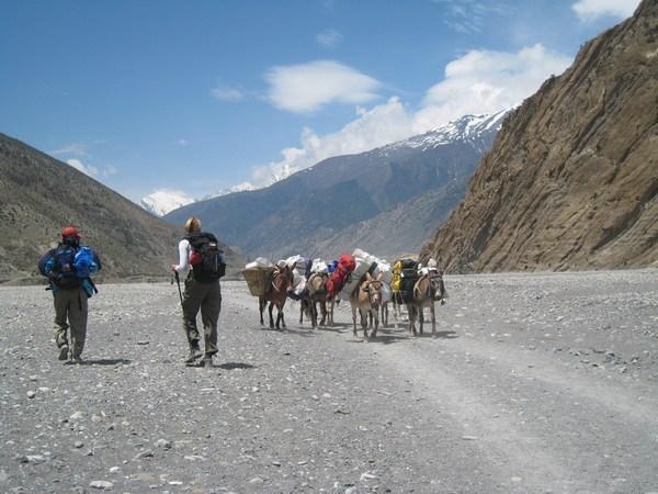 Blazing a trail through the Kali Gandaki gorge