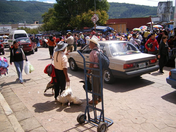Market, San Christobal