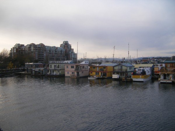 House boats in the inner harbour