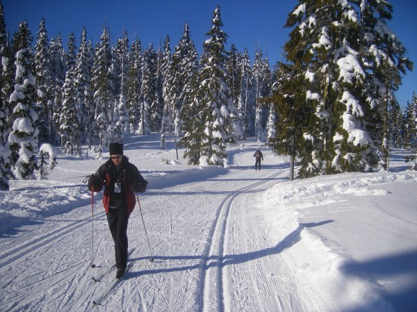 more Nordic skiing at Mt Washington