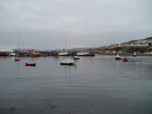   Mallaigh Harbour