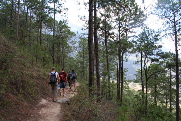 Heading through forested areas on mountain