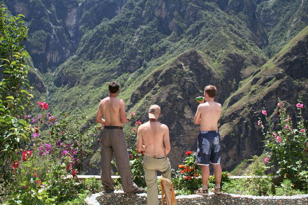 The boys enjoying the view