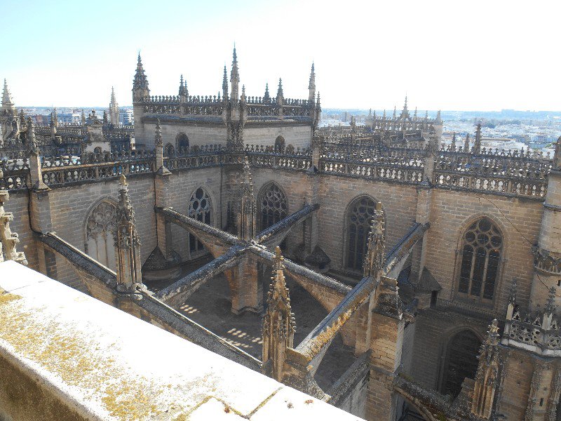 A view from the bell tower
