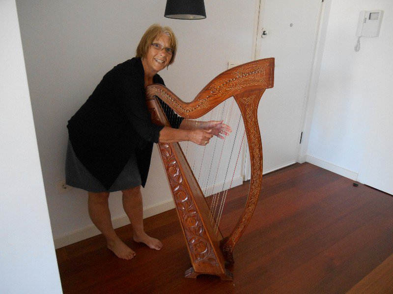 Apartment has a harp!