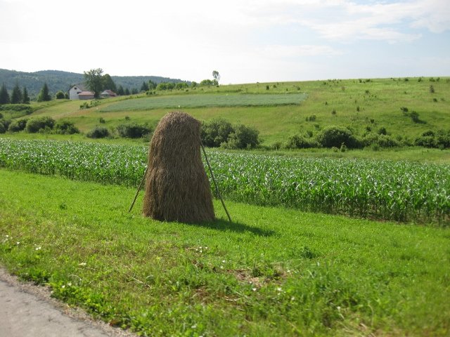 Croatia haystack