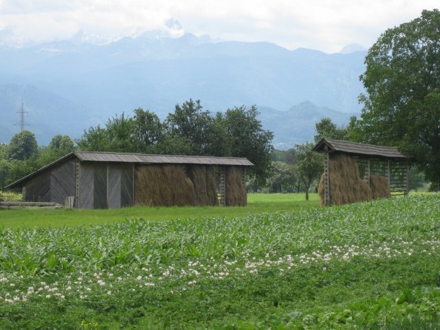 Slovenia haystacks