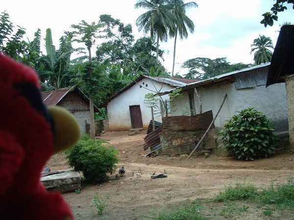 Village of Balama, Liberia