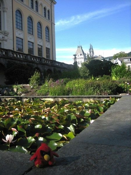 Botanical garden, Bergen