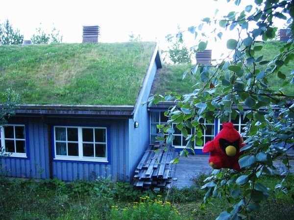 Grass roof