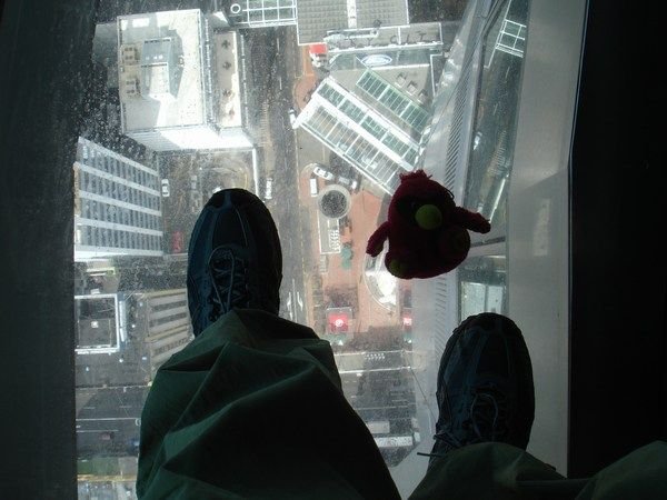 Top of the Sky Tower