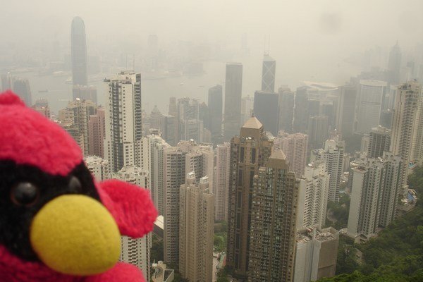 Hong Kong Skylines from the Peak