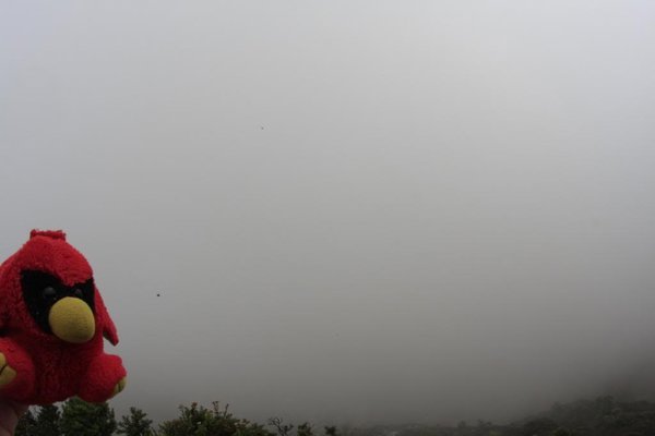 Foggy Poas Volcano