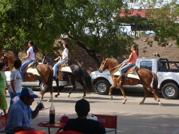 Horse Parade at the Festival