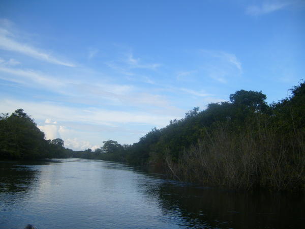 River in the Pantanal 