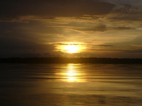 Sunrise in the Amazonas