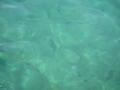 Green and clear sea water - gorgeous!!!
