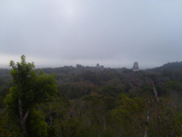 View from Temple 4 before Sunrise