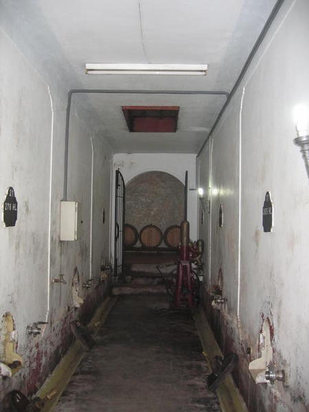Side View of the Vats