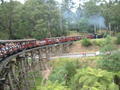 Puffing Billy on the Bridge