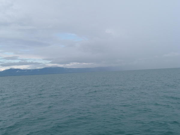 Rainfall at the Reef