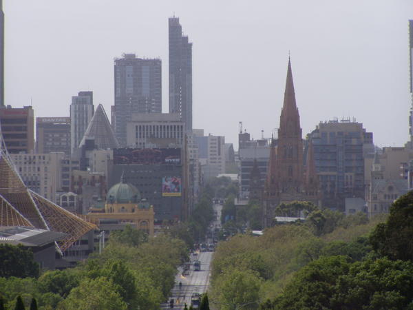 Melbourne Zoom
